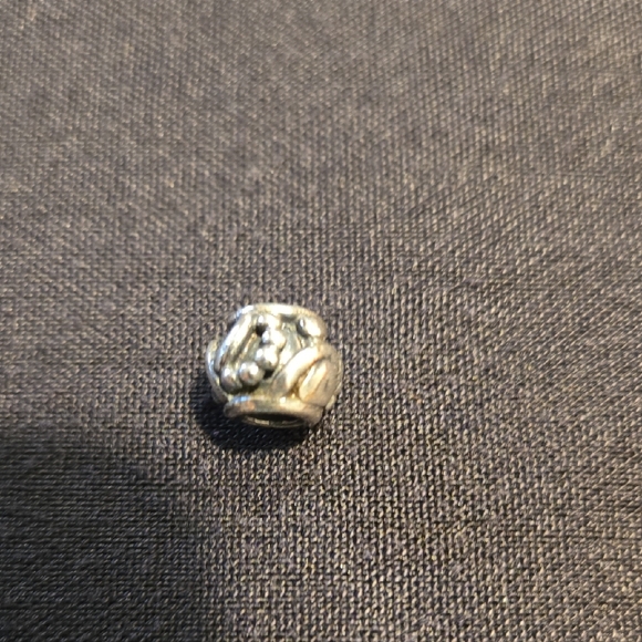 Trollbeads Sterling Silver Foxtail Bracelet - Picture 7 of 8